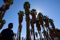 Ola de calor rompe récords históricos en 14 estados de Estados Unidos