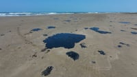 Pemex anuncia apoyo económico a pescadores por derrame en el Golfo