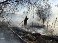 Incendio en lote baldío moviliza a cuerpos de emergencia en la colonia Tecnológico