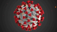 Primer caso de gripe aviar A (H9N2) en humanos en Europa