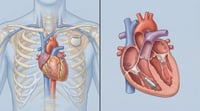 Marcapasos modernos: de qué manera mejoran el ritmo cardíaco cuando el corazón late lento