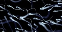 Por qué se nos cierra el estómago al enfermar: hallan el «interruptor» que conecta el intestino con el cerebro