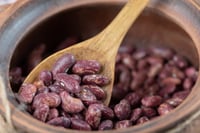 Caen precios del frijol casi 50% y productores piden apoyo urgente al gobierno
