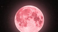 Luna Rosa 2026 en México: fecha y hora exacta para verla