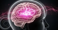 Qué le sucede al cerebro cuando no se consume suficiente proteína