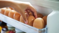 El error con los huevos en tu refri que podría enfermarte: cuánto duran realmente