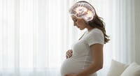 Un estudio revela que los cambios en el cerebro durante el embarazo no implican deterioro