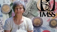 Cuenta regresiva para la Ley 73: El esquema de pensiones más generoso