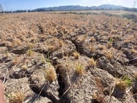Ley de Aguas impacta al campo y genera incertidumbre