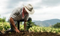 Fertilizantes encarecen y amplían apoyos en Coahuila