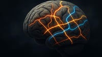 Vivir en ciertos lugares acelera o frena el envejecimiento del cerebro