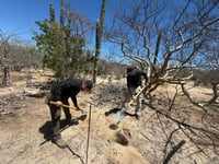 Hallan 5 nuevas fosas clandestinas en La Paz, Baja California Sur