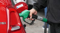 Inflación energética en OCDE se mantiene negativa en febrero