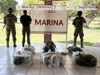 Marina asegura 265 kg de presunta cocaína en Michoacán