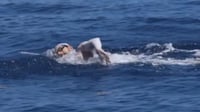 David Olvera rompe récord mexicano: nada 85 kilómetros de Cozumel a Cancún