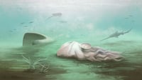 Científicos dicen que el fósil del pulpo más antiguo del mundo ha resultado no ser un pulpo