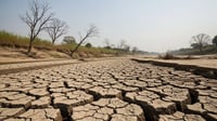 Las olas de calor y sequías combinadas afectarán a miles de millones de personas al año para 2100