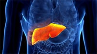 Tu cuerpo podría estar lleno de grasa en la sangre