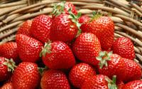 EE.UU. revisa dumping en fresas mexicanas tras fallo ITC
