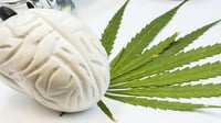 La marihuana embota el desarrollo cerebral en adolescentes