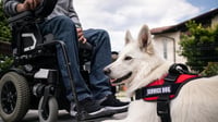 Los perros de servicio realizan tareas similares a las de los cuidadores humanos