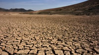 Calor extremo pone en riesgo la agricultura mundial, alertan FAO y OMM