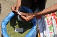 En Gaza, ante la escasez de cigarrillos, recurren a yute verde como sustituto