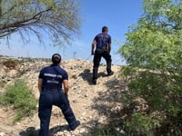 Serpiente devora a otra y desata movilización en la colonia Barrera de Monclova 