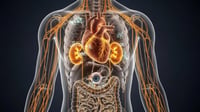 Qué le pasa a tus órganos si tienes la glucosa alta por mucho tiempo