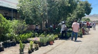Refuerzan acciones de supervisión en panteones y áreas comerciales por el Día de las Madres