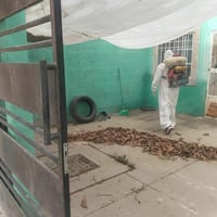 Atienden reportes ciudadanos con fumigación y control de garrapatas en Torreón