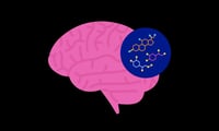 Cortisol: qué hace la hormona del estrés y cuándo puede volverse peligrosa