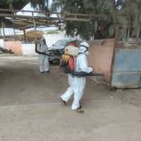 Intensifican acciones de fumigación y control sanitario en distintos sectores de Torreón