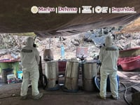 Marina destruye cinco narcolaboratorios