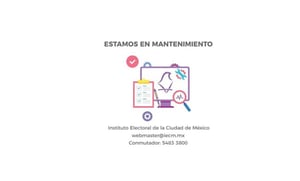 Los representantes de los partidos pidieron aclarar esta situación para no confundir a la ciudadanía  El Consejo General del Instituto Electoral de la Ciudad