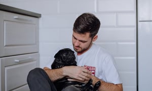 Si se aprueba en el Senado, los trabajadores podrán llevar a sus mascotas, siempre que estén certificadas por un profesional de la salud  El pasado jueves