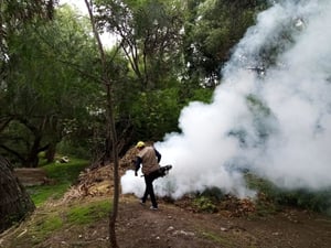 El paciente sufría de hipertensión y tuvo dificultades respiratorias.  El tercer deceso por complicaciones del dengue ocurrió hace unas horas en la región