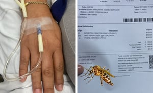 Las consultas con médicos particulares tienen un costo 400 pesos.   Tener dengue en la Región Centro de Coahuila es un gasto considerable para las familias