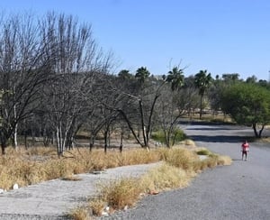 Las áreas verdes, que también fueron instaladas por Altos Hornos justo en el bulevar Harold R. Pape, también presentan un gran descuido.   La emblemática