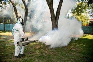 Este año la incidencia de dengue fue alta.   Con el registro de temperaturas a bajo cero grados centígrados en estos primeros días de diciembre, en Coahuila