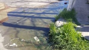 Una fuga de agua que comenzó en la calle Xicoténcatl, a la altura de la calle Jiménez, ha recorrido hasta la calle Bravo, donde el agua se estanca y forma