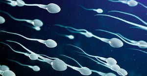 Investigadores informaron el primer embarazo exitoso logrado con espermatozoides identificados mediante inteligencia artificial (IA) avanzada.  El equipo