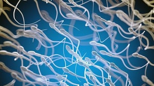 Los investigadores reportaron el primer embarazo logrado mediante el uso de espermatozoides localizados con ayuda de inteligencia artificial (IA) avanzada.