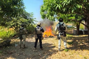 Autoridades federales y estatales localizaron y destruyeron cuatro campamentos presuntamente usados por grupos criminales en Buenavista Tomatlán, Michoacán,