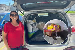 El centro entregó croquetas y apoyos a los rescatistas que se registraron.  El Centro de Bienestar Animal de Monclova expresó su agradecimiento a