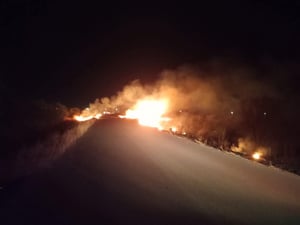 Bomberos, Protección Civil y la Brigada de Rescate Omega trabajaron de manera coordinada para controlar un incendio que se salió de control en un pastizal