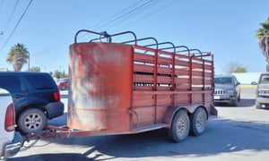 La fiscalía general del Estado logró recuperar varios caballos robados en la Región Carbonífera, gracias al trabajo coordinado con ejidatarios afectados