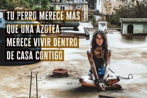 La actriz mexicana Ale Müller protagoniza una cruda campaña de PETA Latino en la que encarna a un perro abandonado en una azotea, para concientizar sobre este