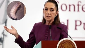 El presidente Donald Trump alertó sobre la plaga del gusano barrenador y la presidenta Claudia Sheinbaum respondió que México acelera una planta de moscas