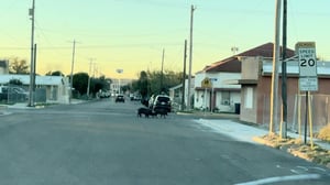 La ciudad de Eagle Pass ha decidido implementar un programa para manejar la presencia de cerdos salvajes en zonas residenciales. Una empresa especializada